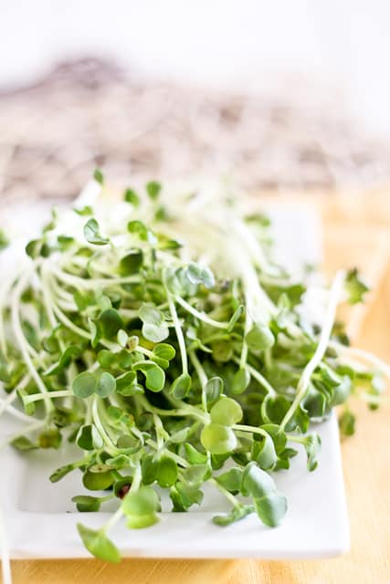 Daikon Sprouts | by Sonia! The Healthy Foodie