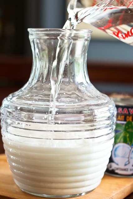 3 Ingredient Coconut Milk | by Sonia! The Healthy Foodie