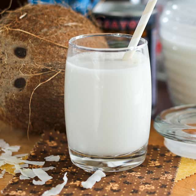 3 Ingredient Coconut Milk | by Sonia! The Healthy Foodie