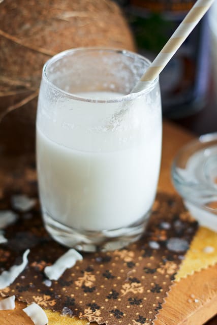 3 Ingredient Coconut Milk | by Sonia! The Healthy Foodie