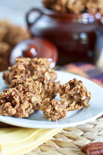 Completely Sugar Free / High Protein Pumpkin Oatmeal Cookies | by Sonia! The Healthy Foodie