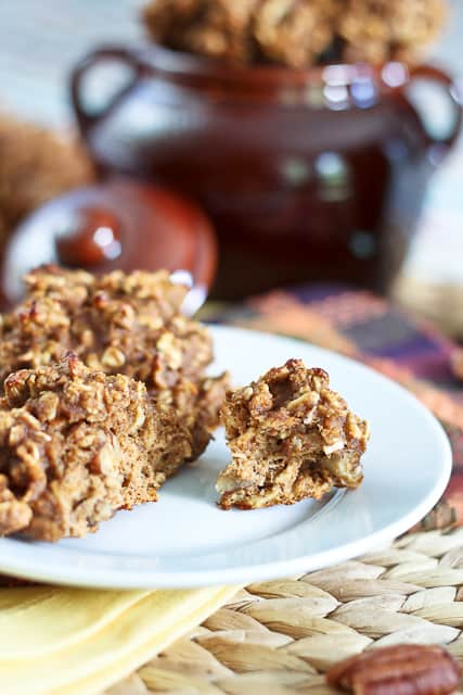 Completely Sugar Free / High Protein Pumpkin Oatmeal Cookies | by Sonia! The Healthy Foodie