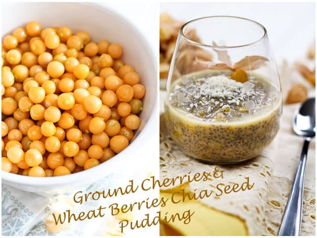 Ground Cherries & Wheat Berries Overnight Chia Seed Pudding | by Sonia! The Healthy Foodie