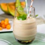 High Protein Cantaloupe Smoothie | by Sonia! The Healthy Foodie