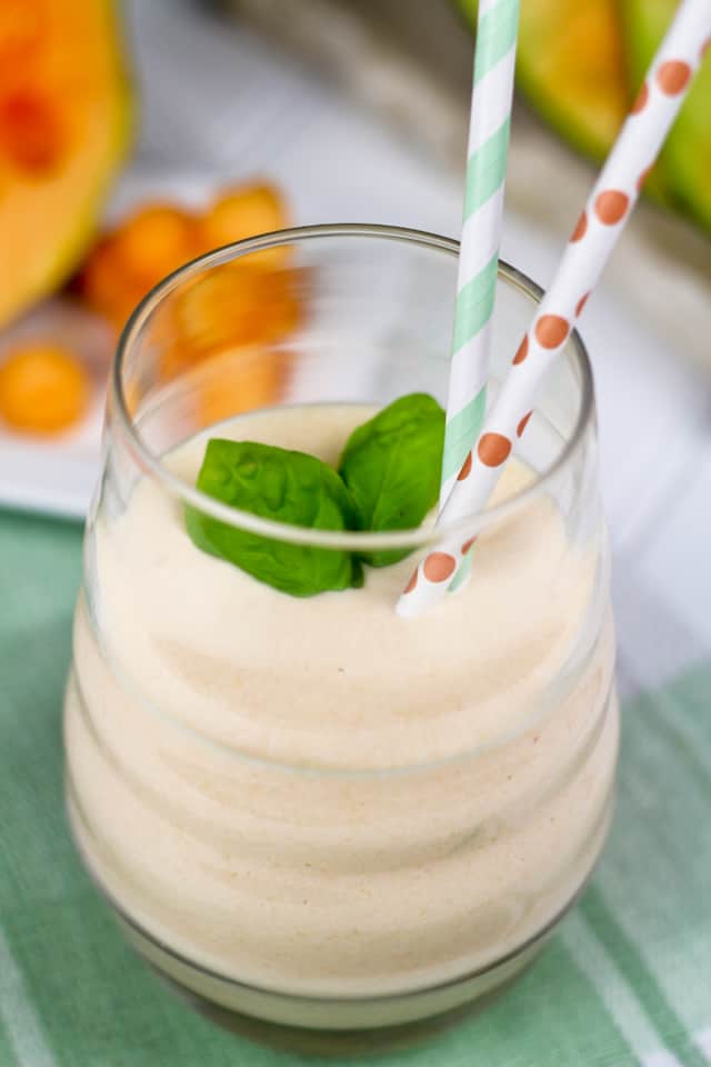 High Protein Cantaloupe Smoothie | by Sonia! The Healthy Foodie