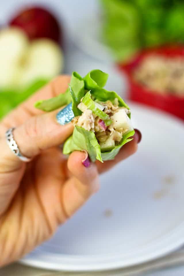 Ground Chicken Apple and Bulgur Lettuce Wraps | by Sonia! The Healthy Foodie
