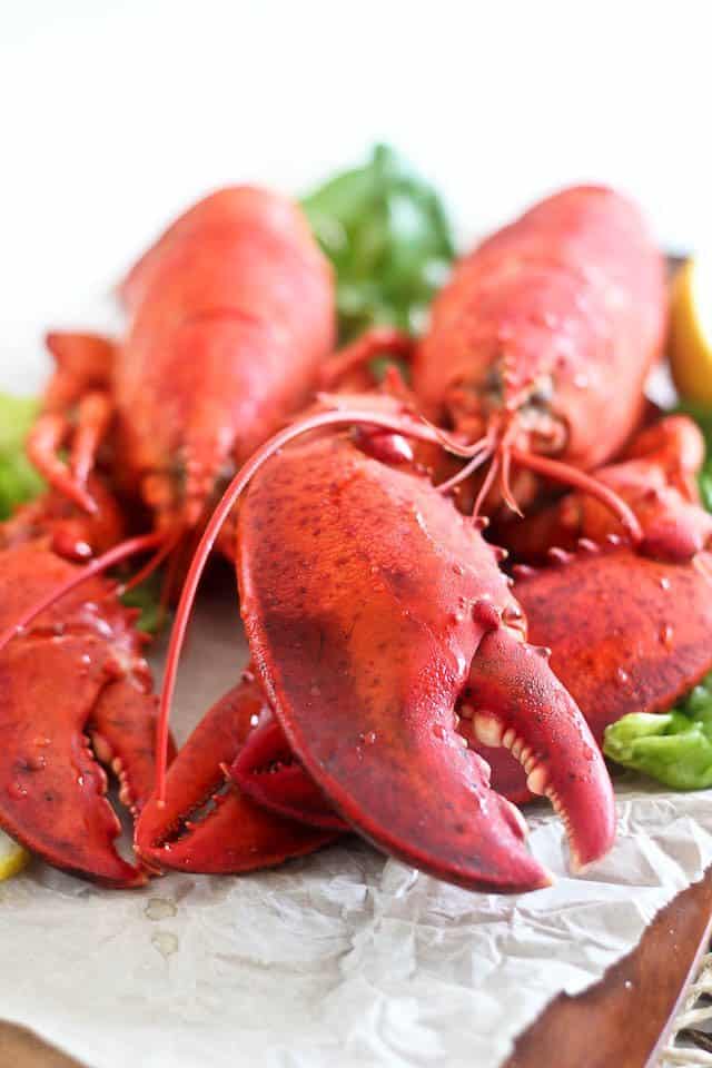 Cooked Lobster | by Sonia! The Healthy Foodie