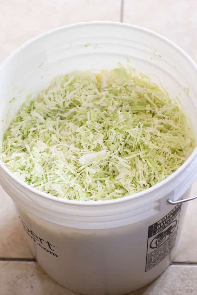 Homemade Sauerkraut Project | by Sonia! The Healthy Foodie