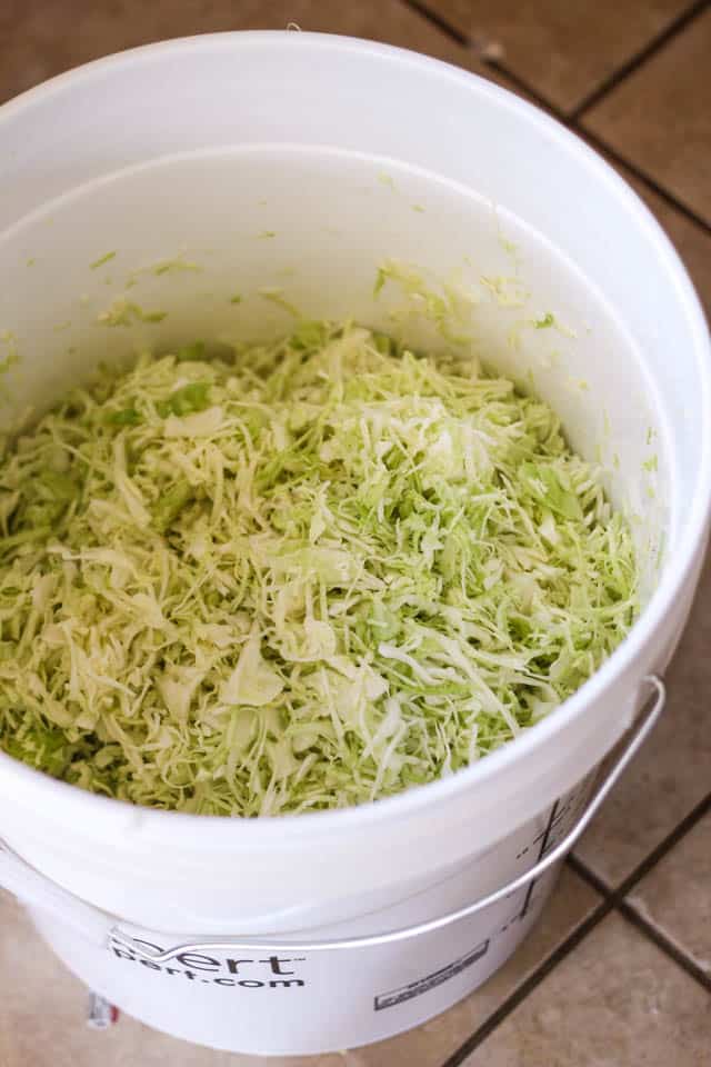 Homemade Sauerkraut Project | by Sonia! The Healthy Foodie