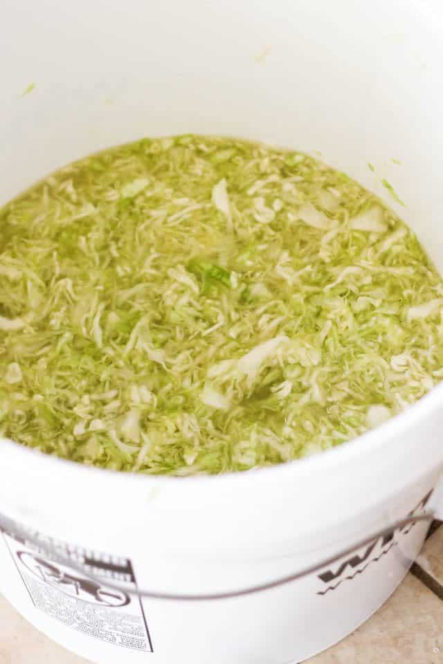 Homemade Sauerkraut Project | by Sonia! The Healthy Foodie