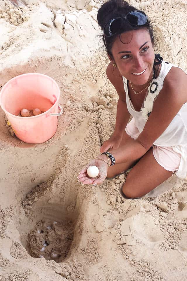 Cayo Largo 2013 | Collecting Turtle Eggs