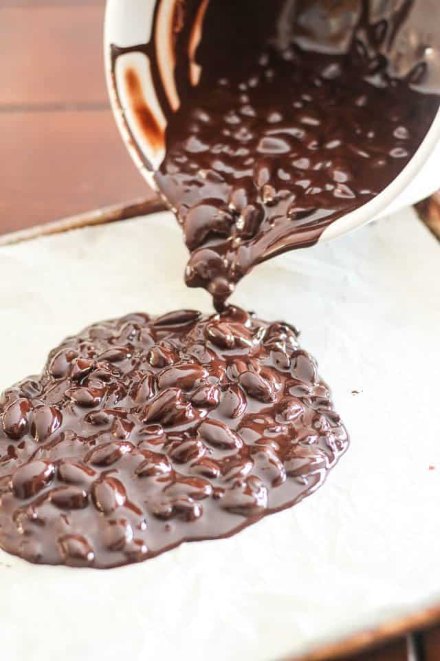 Paleo Dark Chocolate Bark | by Sonia! The Healthy Foodie