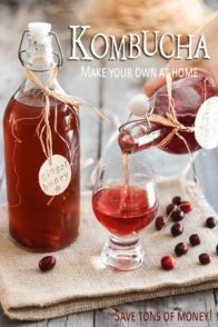 Make Your Own Kombucha | by Sonia! The Healthy Foodie