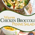 This Chicken Broccoli Penne Salad will make you long for summer more than ice cream ever could! So tasty and healthy and comes together in about 15 minutes