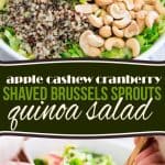 This Apple Cranberry Cashew Shaved Brussels Sprouts Quinoa Salad is super delicious and can be made days in advance. You'll love having it in the fridge.