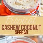 A smooth and creamy cashew and coconut butter loaded with bits of toasted coconut, banana chips and dried apricots, this Tropical Cashew Coconut Spread is a veritable tropical paradise in a jar!