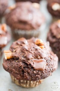 Healthy Zucchini Chocolate Muffins • The Healthy Foodie