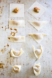 Homemade Wonton Soup • THF