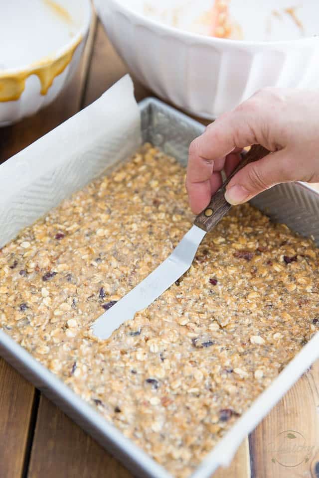 Fruit & Nuts Oatmeal Breakfast Bars by Sonia! The Healthy Foodie | Recipe on thehealthyfoodie.com