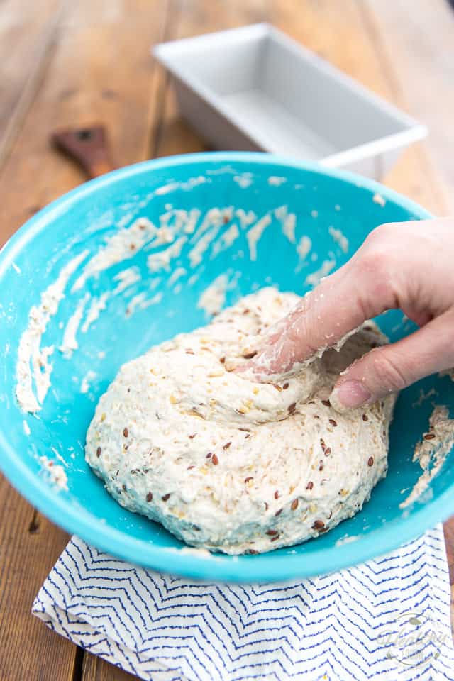Multigrain bread dough in a blue bowl being mixed with tips of fingers