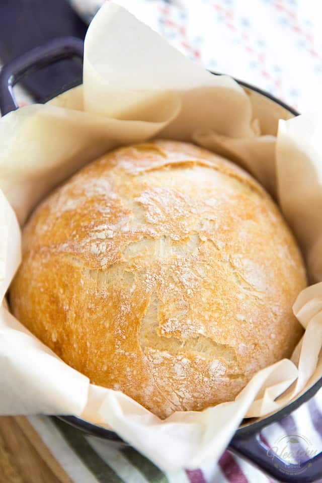 Not only is this No Knead Dutch Oven Bread the easiest bread you'll ever bake, it's also one of the best you'll ever eat! It's melt-in-your mouth soft on the interior with a super crispy, crunchy, almost flaky crust and tons of flavor, to boot! So good, a little butter is all it needs... 