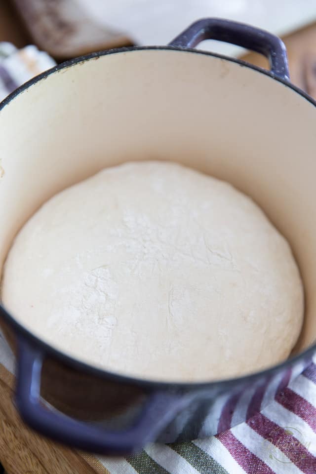 Overhead view of a ball of uncooked bread dough in a preheated Dutch oven