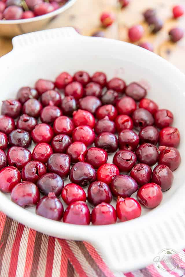 Pitted cherries arranged at the bottom of a round baking dish