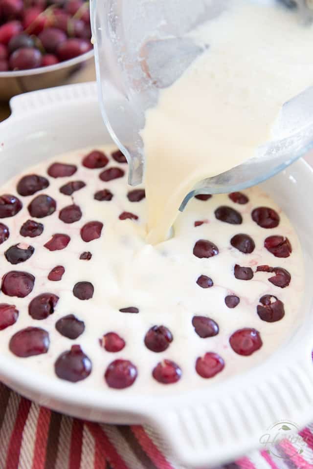 Clafoutis batter is being poured over pitted cherries into a round baking dish
