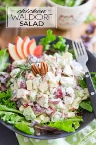 Here's a very unique and intriguing take on the classic Chicken Waldorf Salad, loaded with all kinds of tasty morsels of chicken, avocado, grapes, apples and celery, a handful of nuts, all generously coated in a creamy, tangy goat cheese dressing!