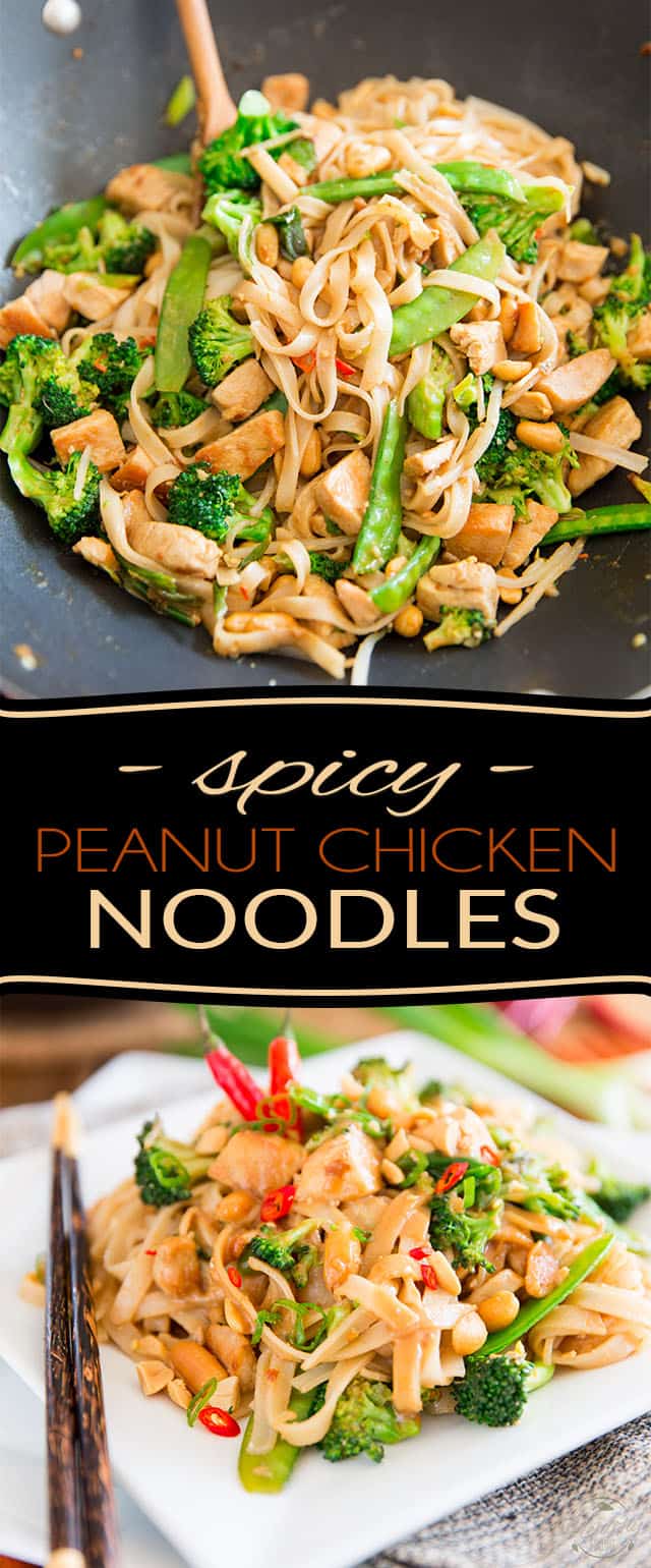 This spicy peanut chicken noodle dish is loaded with tasty morsels of chicken, crunchy veggies and soft rice noodles, all wrapped up in a rich and spicy peanut sauce.