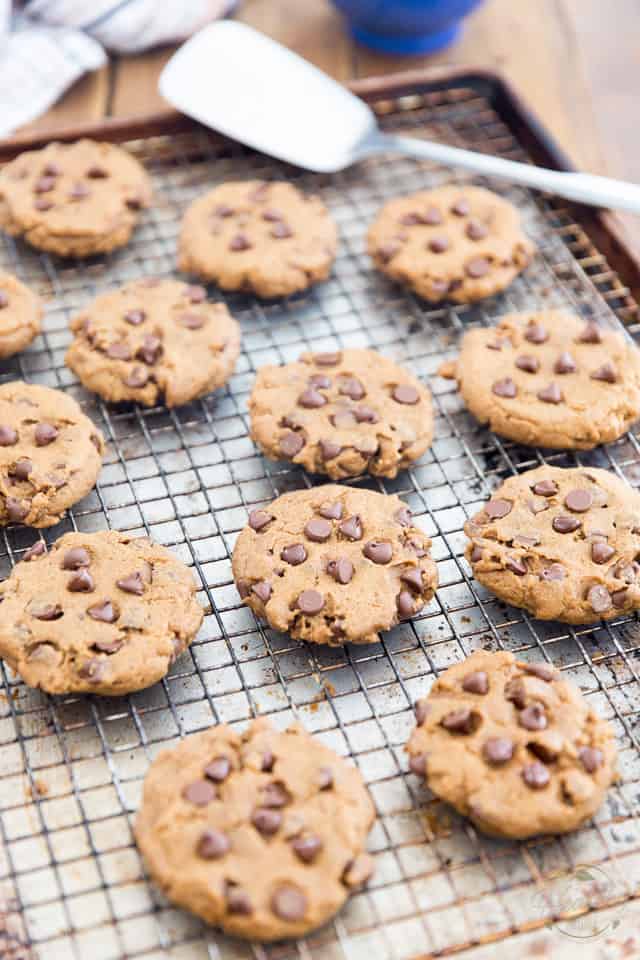 Vegan Peanut Butter Chocolate Chip Cookies by Sonia! The Healthy Foodie | Recipe on thehealthyfoodie.com