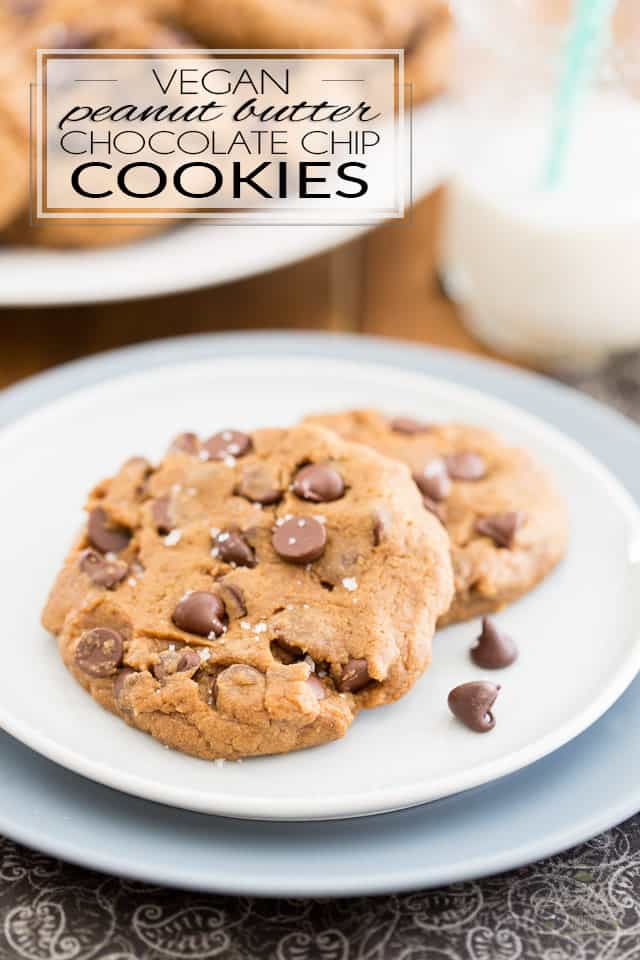 Treat yourself to one of these Vegan Peanut Butter Chocolate Chip Cookies. They're soft and tender and filled with tons of chocolate goodness submerged in subtle notes of rich and buttery peanut butter. 