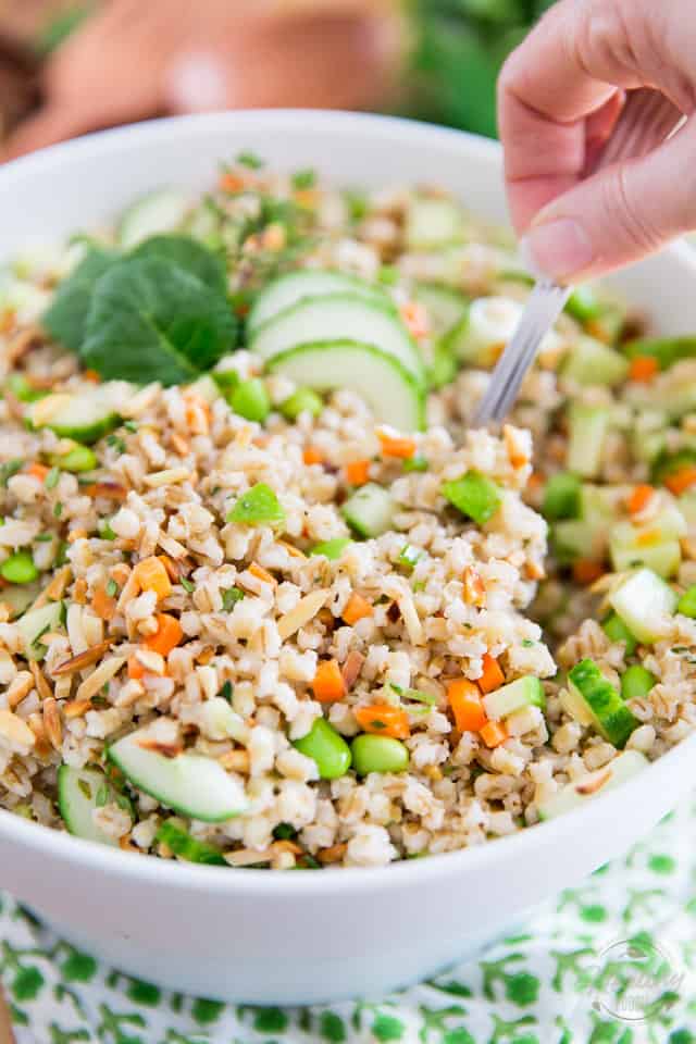 Veggie Barley Salad by Sonia! The Healthy Foodie | Recipe on thehealthyfoodie.com