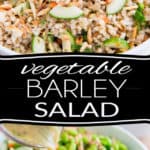 Loaded with all kinds of super nutritious and wholesome ingredients, this sturdy Veggie Barley Salad is a veritable explosion of flavors and textures! Perfect for potlucks, picnics or no-fuss lunch at the office.