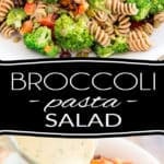 This Vegan Broccoli Pasta Salad is so incredibly tasty that no one will realize exactly how much veggies they're actually eating! It's the perfect way to get kids and picky eaters to get their daily intake!