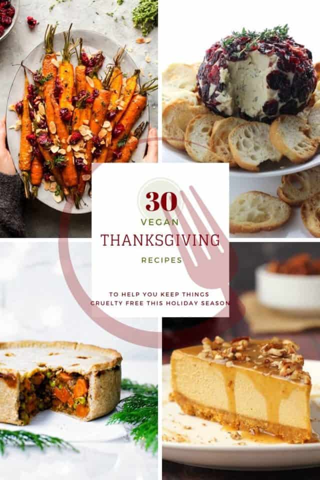 A roundup of 30 Healthy Vegan Thanksgiving Recipes to help you plan your menu and keep things healthy and cruelty free this Holiday Season!