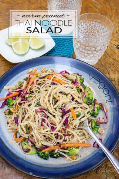 Warm Peanut Thai Noodle Salad • The Healthy Foodie