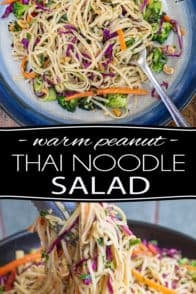 Loaded with wholesome goodness, this Warm Peanut Thai Noodle Salad is an unpretentious dish that is crazy easy to make, yet so generously tasty, it'll just as easily become a family favorite!