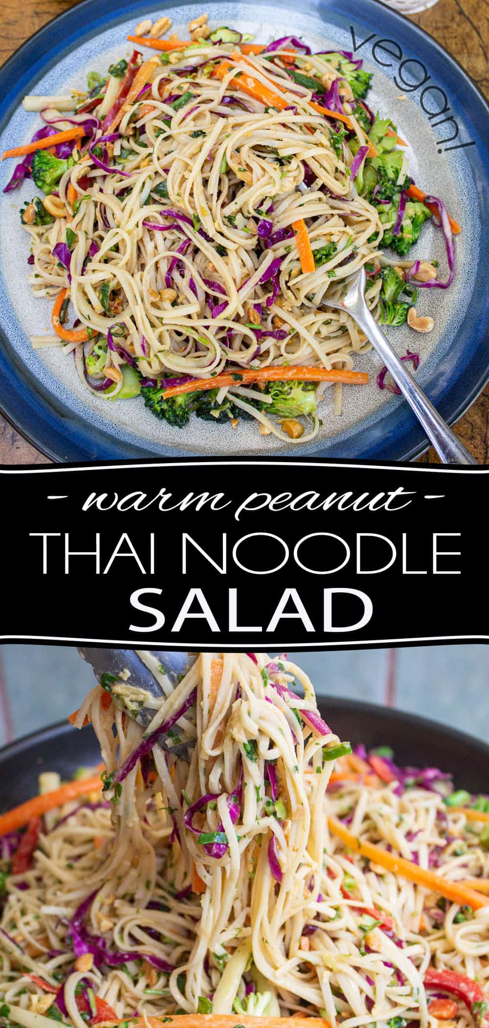 Warm Peanut Thai Noodle Salad • The Healthy Foodie