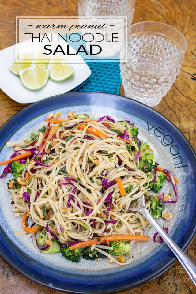 Loaded with wholesome goodness, this Warm Peanut Thai Noodle Salad is an unpretentious dish that is crazy easy to make, yet so generously tasty, it'll just as easily become a family favorite!  